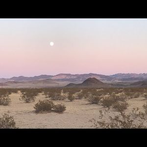 Meet your Posher, Alison